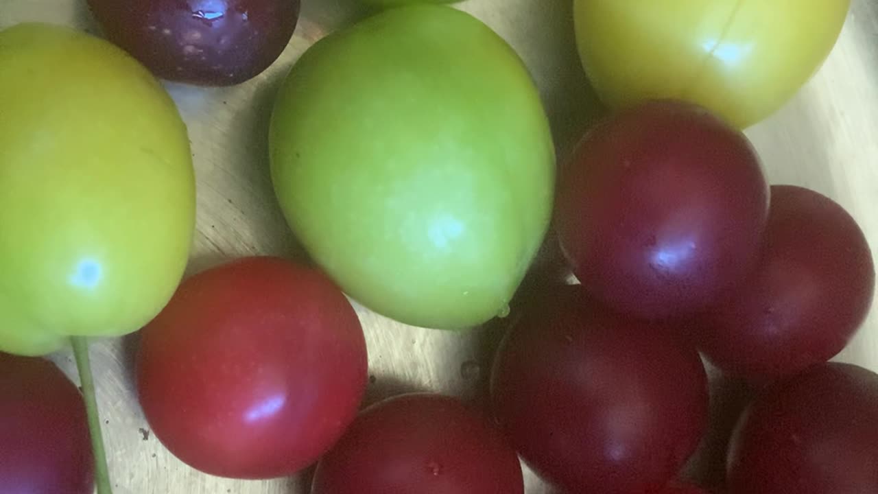 Fruit Talk - What the Hell are the UK doing - what is the Media doing