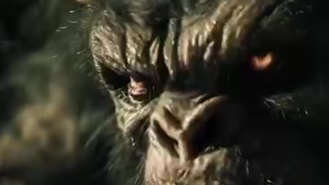 The Other Humans, No One Talks About....