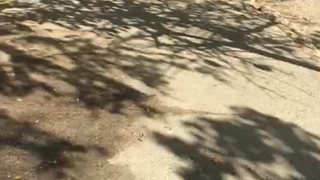 Aglomeraciones en las playas y paseo peatonal