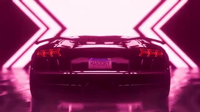 LAMBORGHINI AVENTADOR S mansory car -test drive 9