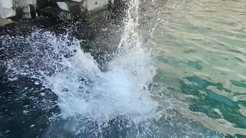 Nice backflip in the water