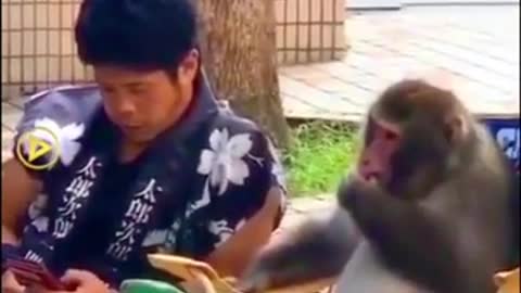 1 min funny video 😁😂