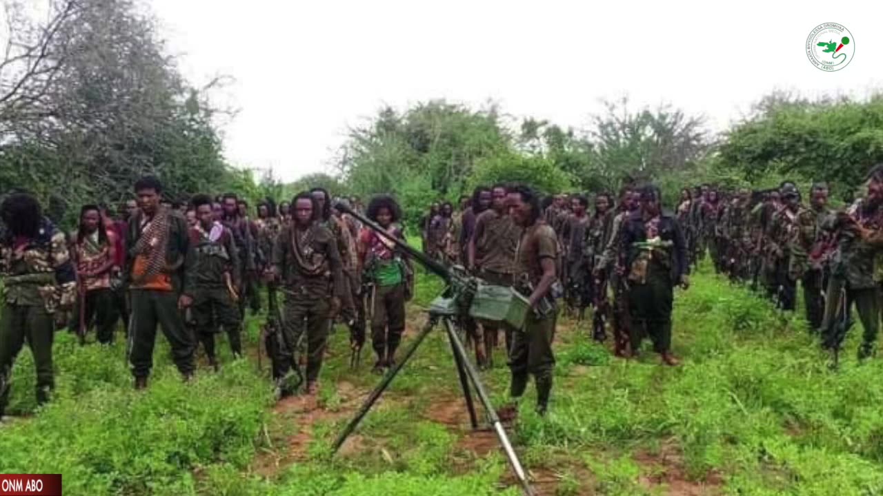 Oduu Galgala ONM-ABO Onkoloolessa 27-2024 itti dhiyaadhaa!