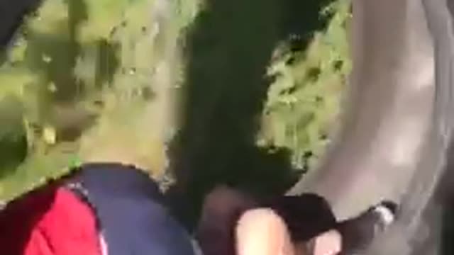 Two kids in a giant tire rolled by two kids