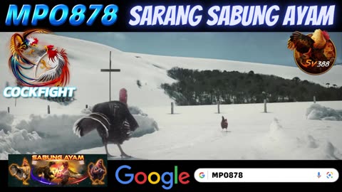 Mencari sensasi baru dengan pertandingan langsung sabung hanya di MPO878