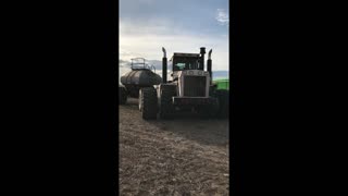 Spring and Fall seeding 2021 BIG BUD