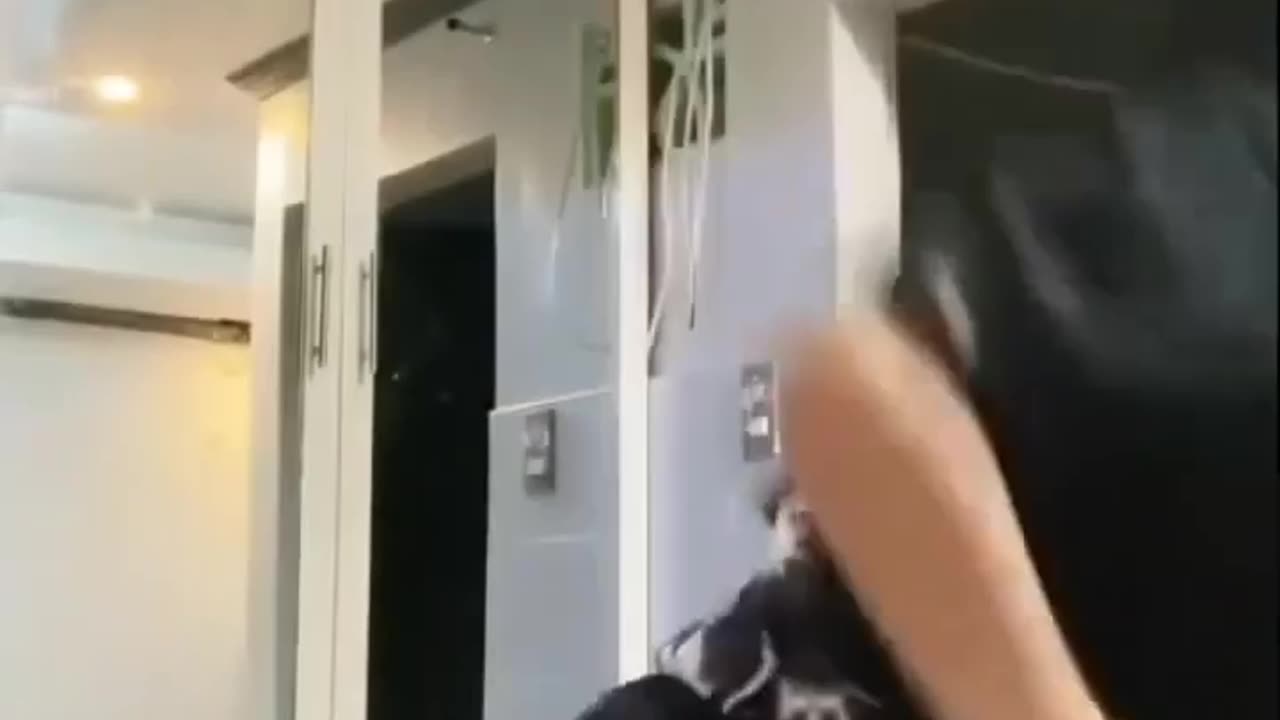 dance it 🤩
