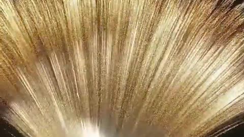 Fireworks 💥😱 _ #Shorts