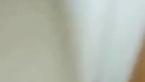 Animal funny video