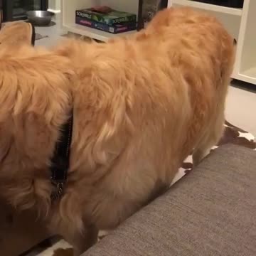 Wait for it when you are bored you just want to play with something