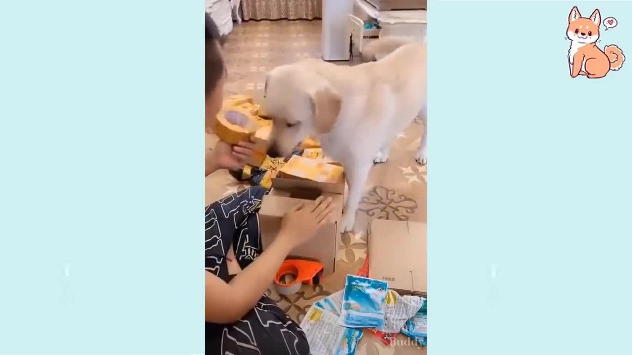 Cute Puppies doing cute things 2