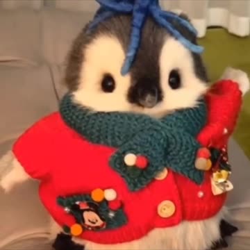 So cute 🥺🥺🥰🥰🥰