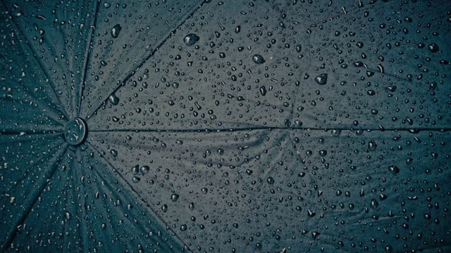 Rain on an Umbrella - 1 Hour