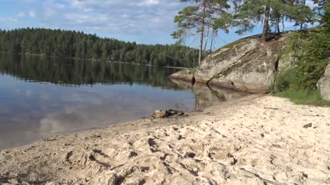 Vid Lillsjön 7 Aug. 2020