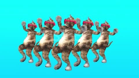 Cats Dance videos