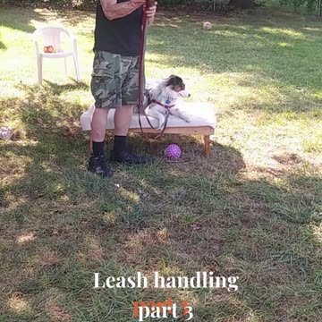 Ruff Cut PodCast Leash Handling part 3 cut c