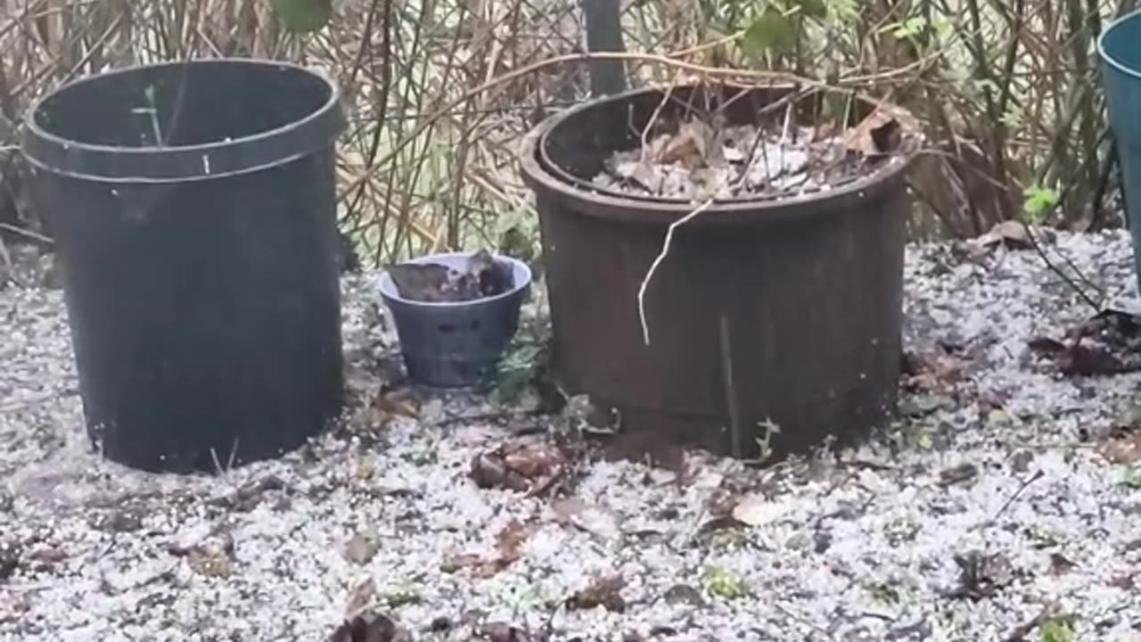 Wise hailstorm