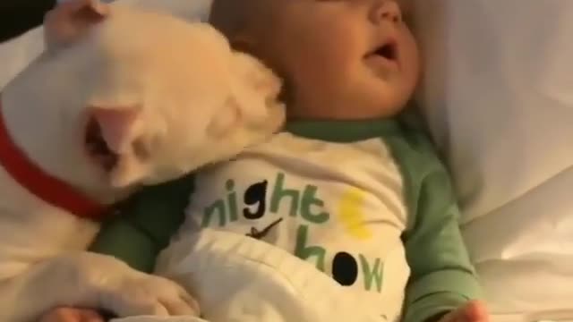 Can you give him a good sleep?