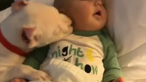Can you give him a good sleep?