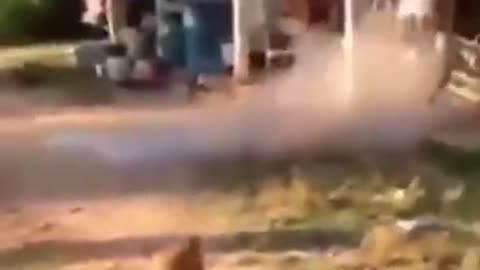 Smart Pets