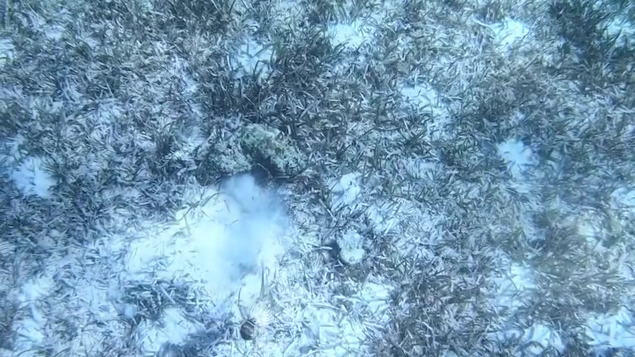 How did this car get in the ocean!?