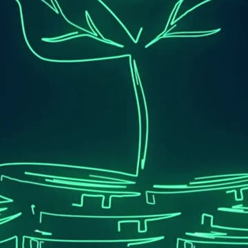 Slash Unnecessary Expenses for Financial Freedom