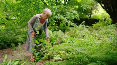 Summer Gardening episode 4