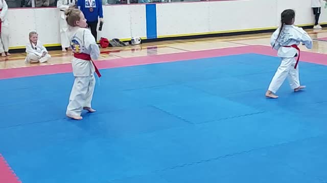 2022 Michigan State Taekwondo Championship