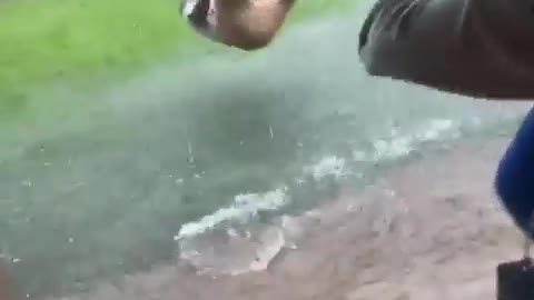 Try Not to Laugh 😂