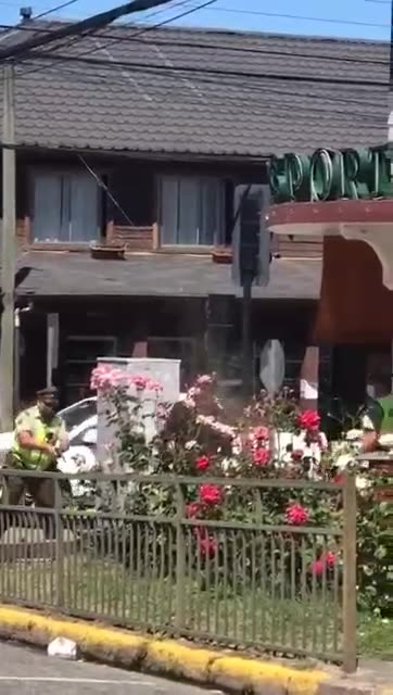 Machete Ninja vs Cop...