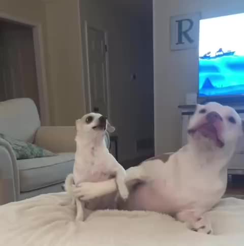 If I go down so will you 😊😝