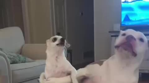 If I go down so will you 😊😝