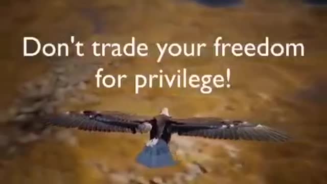 Vaccinated & Unvaccinated