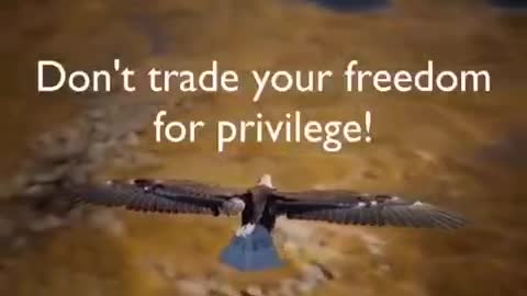 Vaccinated & Unvaccinated