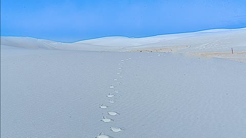 A Walk Through White Sands