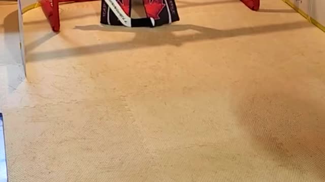 Hockey pup shows her skills dressed as NHL goalie