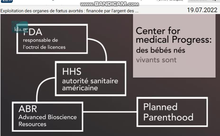 Exploitation des organes de fœtus avortés VIVANTS : financée par l'argent des contribuables !