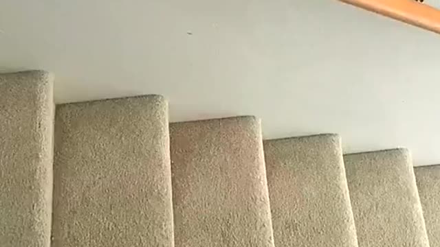 How I imagine my blanket on my 2 am trip to the fridge