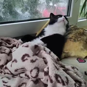 Glad it doesn’t have any important chores to do outside today