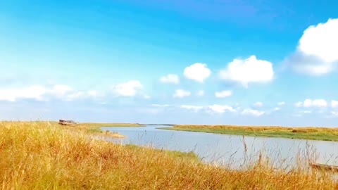 Green hills and water