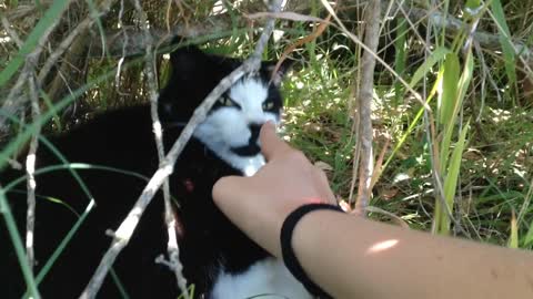 Child Boops Cat on the Nose