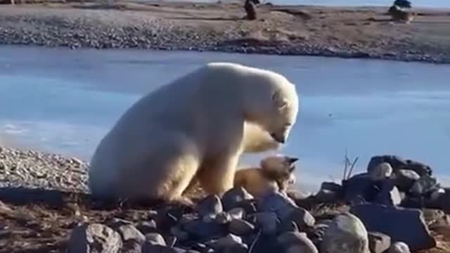 If you're sad i can help