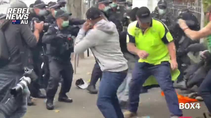 Police DROP all charges after BASHING protester