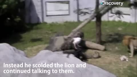 Lion attacks man