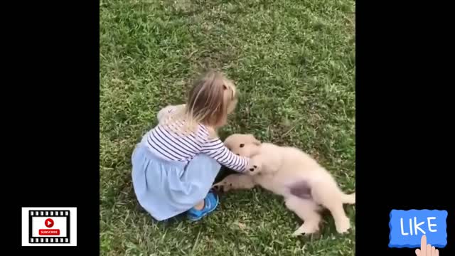 Cute Puppies And Cat Compilation