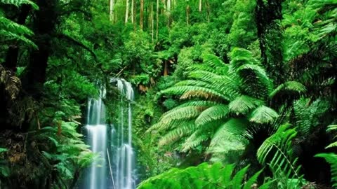 10 minutes meditation music 10 minute relaxing meditation