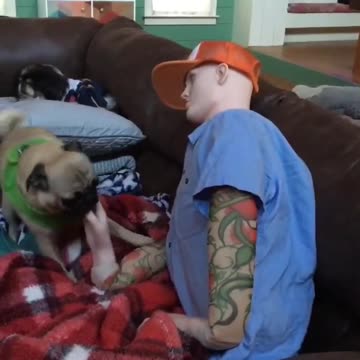 No podía más de la tristeza al separarse de su papá humano, pero le hicieron un maniquí