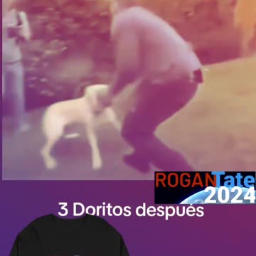 A un perro Nunca se le pega ceaser Milan veterinarian