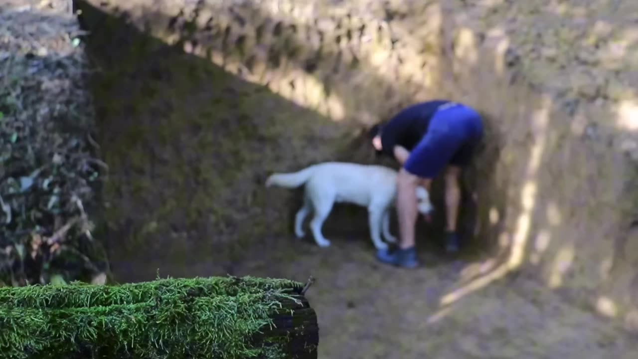 Building a dugout in the mountain. Follow for more