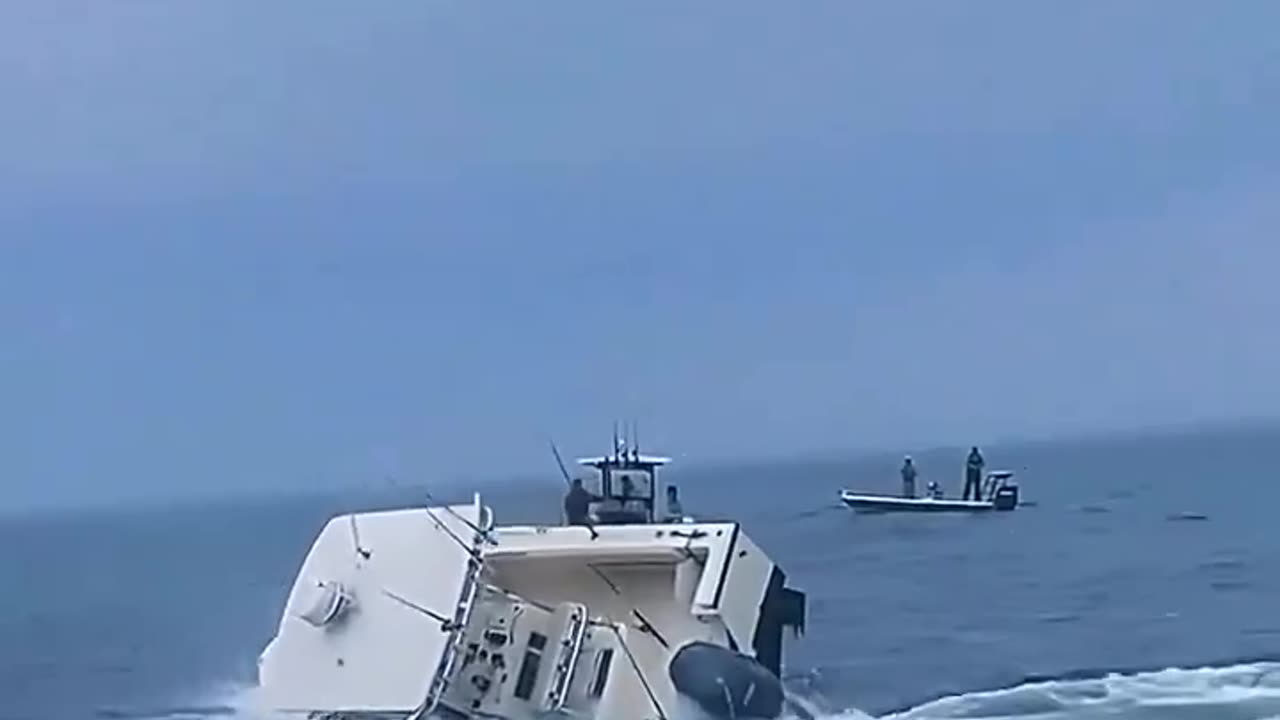 The moment a whale jumped onto a boat